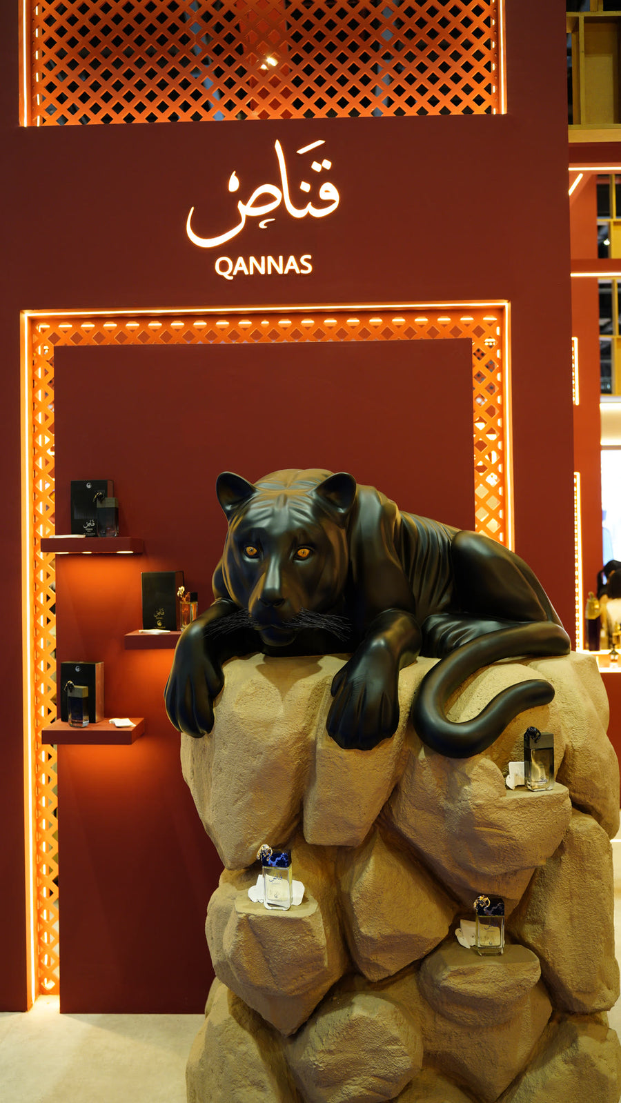 Qannas — the panther